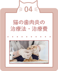 猫の歯肉炎の治療法・治療費
