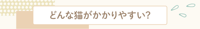 どんな猫がかかりやすい？