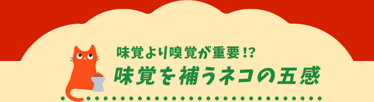 味覚より嗅覚が重要！？味覚を補うネコの五感