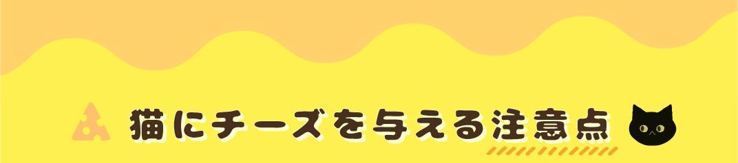 猫にチーズを与える注意点