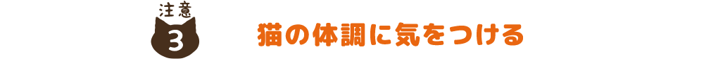 猫の体調に気をつける