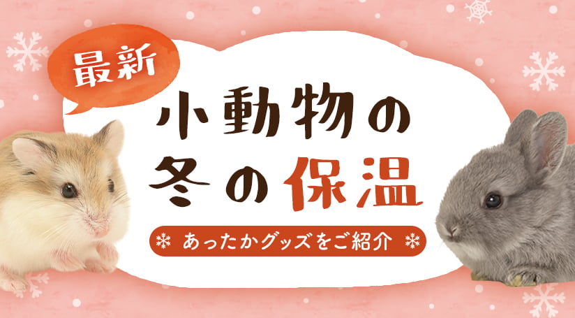 小動物の冬のあったか