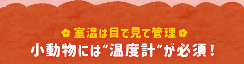 室温は目で見て管理 小動物には”温度計”が必須！