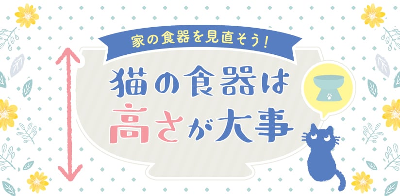 猫の食器は高さが大事