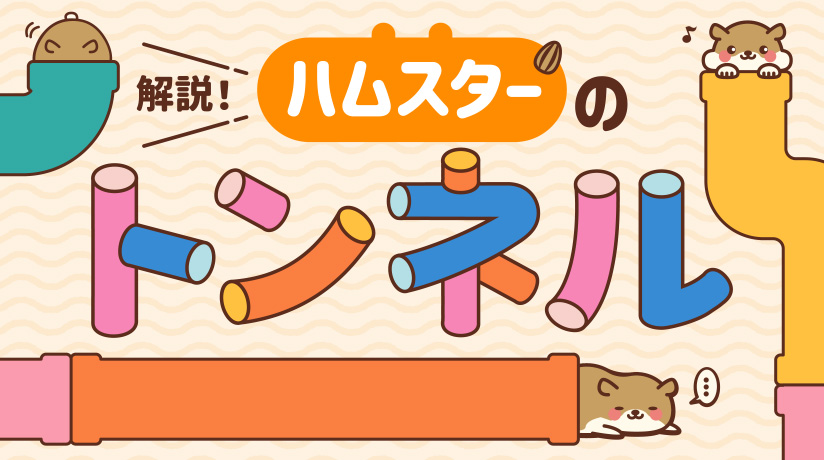 解説！ハムスターのトンネル
