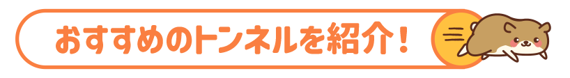 おすすめのトンネルを紹介！