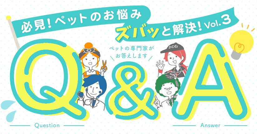 必見！ペットのお悩みズバッと解決！Q＆A Vol.3