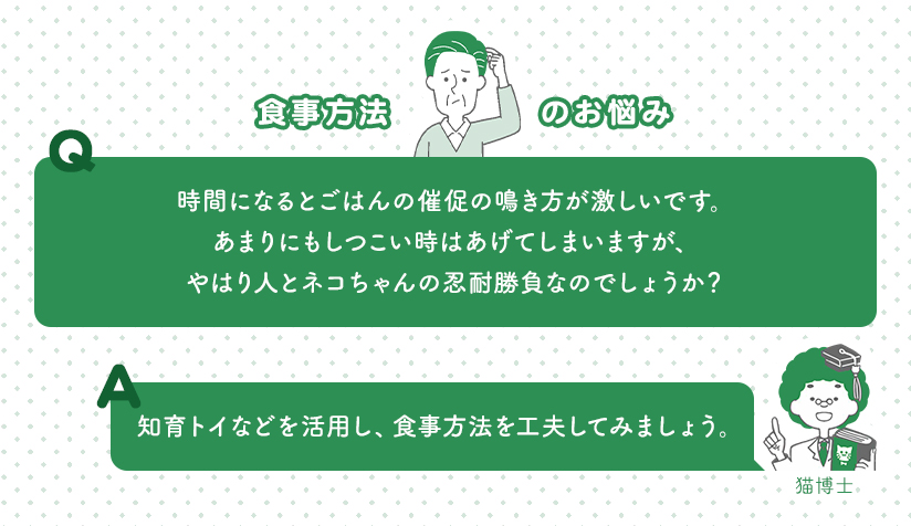 食事方法のお悩み