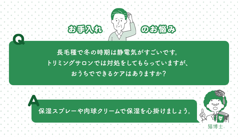 お手入れのお悩み