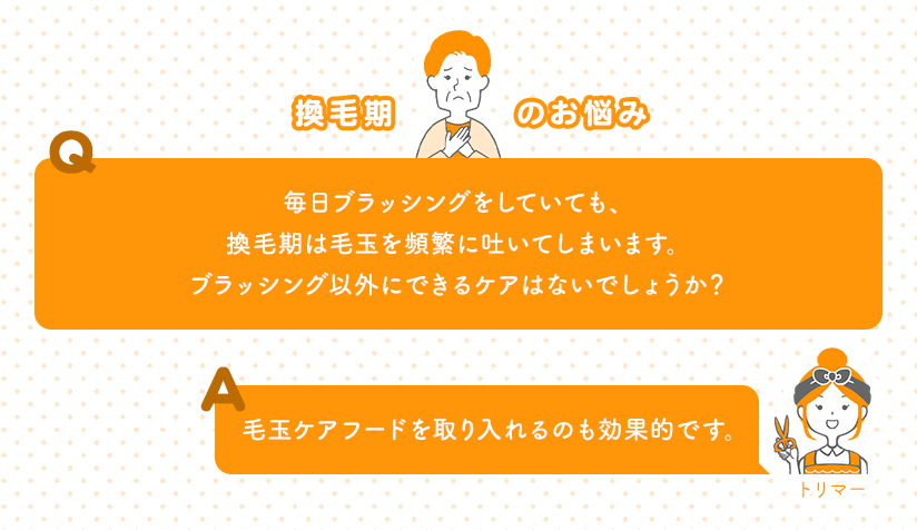 換毛期のお悩み