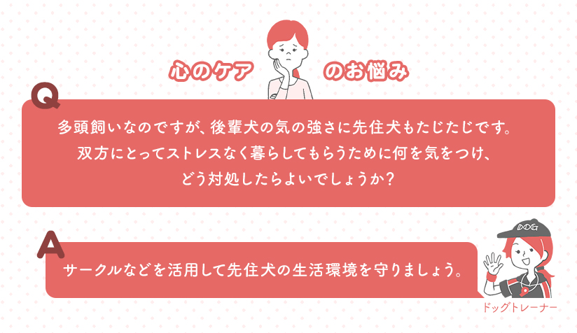 心のケアのお悩み