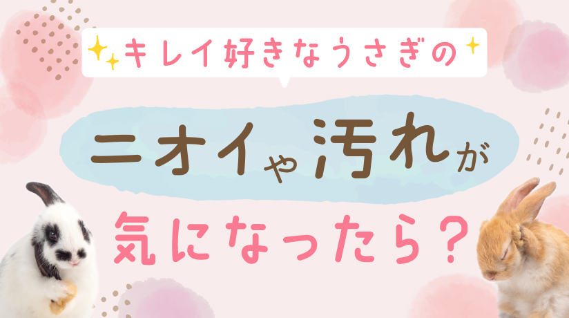 キレイ好きなうさぎのニオイや汚れが気になったら？