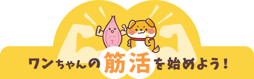 ワンちゃんの筋活を始めよう