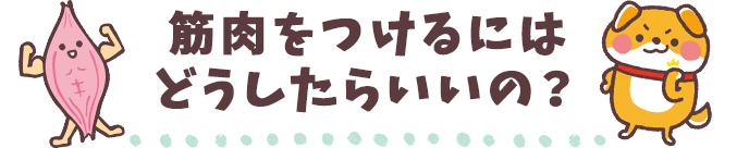筋肉をつけるにはどうしたらいいの？