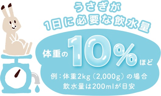 うさぎが1日に必要な飲水量 体重の10％ほど 例：体重2kg（2,000g）の場合 飲水量は200mlが目安