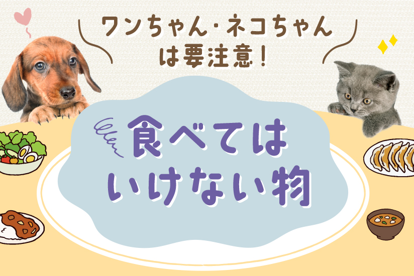 ワンちゃん・ネコちゃんは要注意！食べてはいけない物
