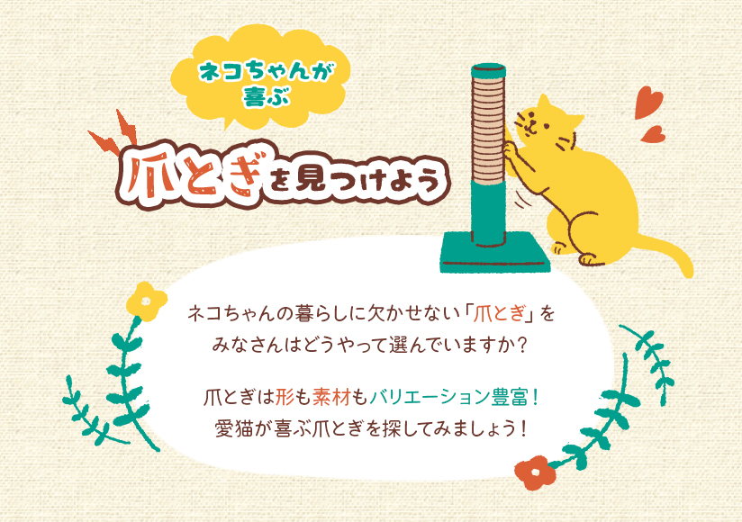 ネコちゃんが喜ぶ爪とぎを見つけよう