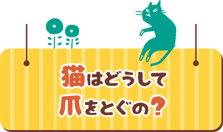 猫はどうして爪をとぐの？