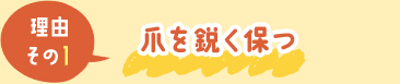理由その1.爪を鋭く保つ