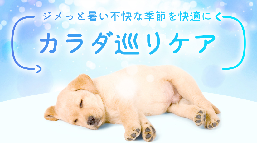 ジメっと暑い不快な季節を快適に カラダ巡りケア