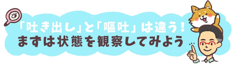 「吐き出し」と「嘔吐」は違う！まずは状態を観察してみよう