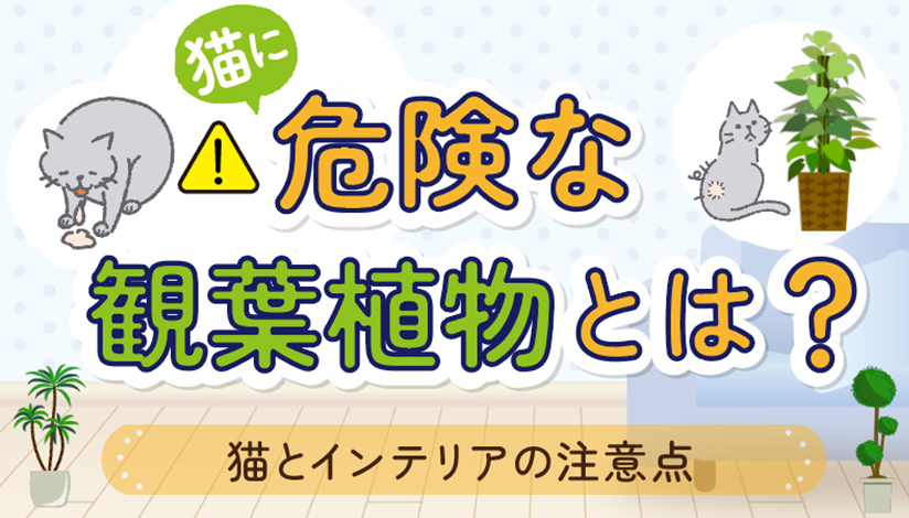 猫に危険な観葉植物とは？