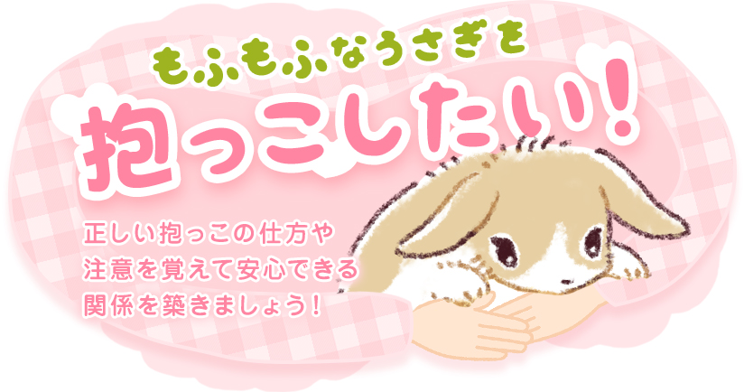もふもふなうさぎを抱っこしたい！