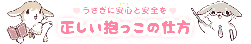うさぎに安心と安全を 正しい抱っこの仕方