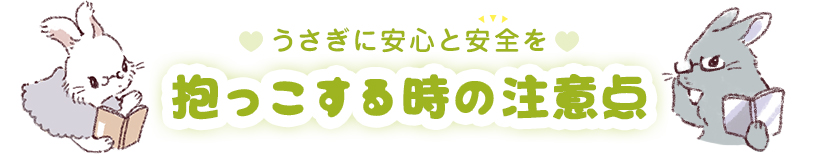 うさぎに安心と安全を 抱っこする時の注意点
