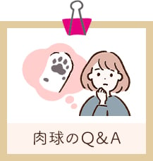 肉球のQ&A