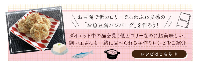 お豆腐で低カロリーでふわふわ食感の「お魚豆腐ハンバーグ」を作ろう！