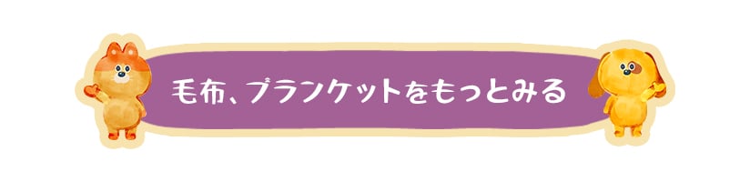 毛布、ブランケットをもっとみる