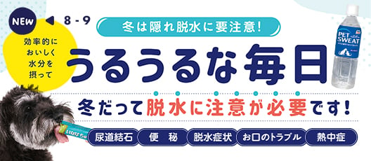 冬は隠れ脱水に要注意！ 効率的においしく水分を摂ってうるうるな毎日