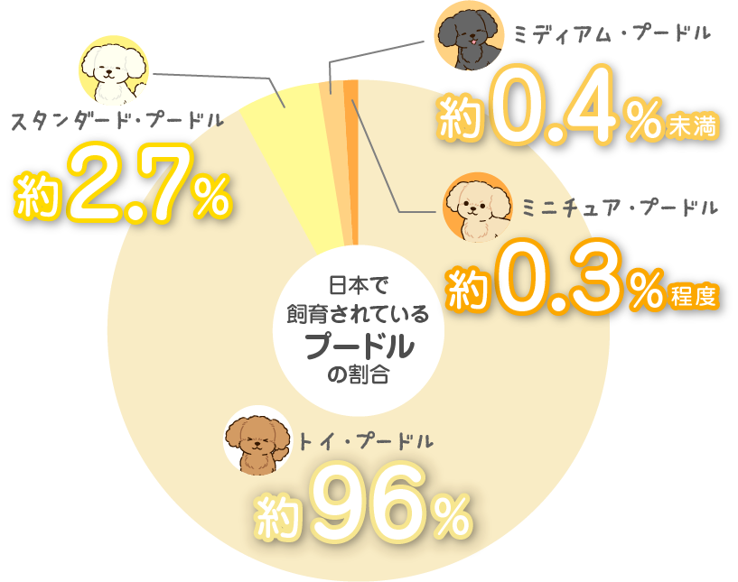 日本で飼育されているプードルの割合 トイ・プードル約96%、スタンダード・プードル約2.7%、ミディアム・プードル約0.4%未満、ミニチュア・プードル約0.3%程度