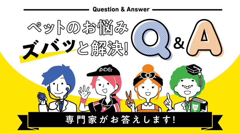 ペットのお悩みズバッと解決！Q&A