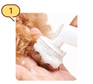 STEP1