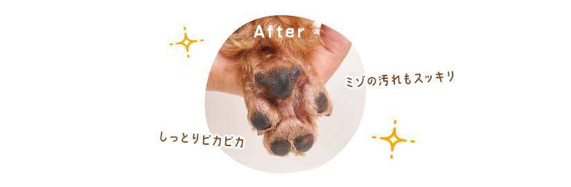 カンタン2STEP