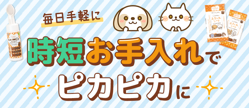 時短お手入れでピカピカに