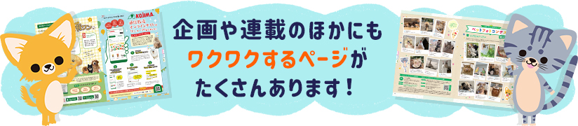 企画や連載のほかにもワクワクするページがたくさんあります！