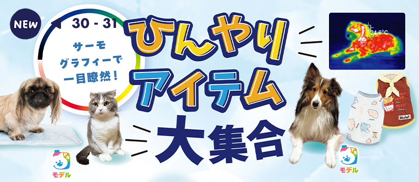サーモグラフィーで一目瞭然！ひんやりアイテム大集合