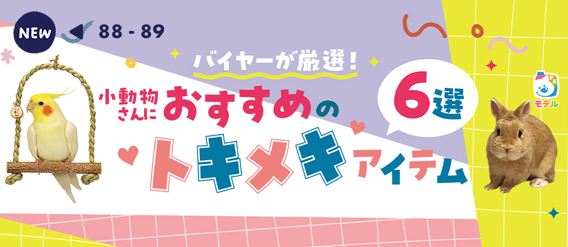 バイヤーが厳選！ 小動物さんにおすすめのトキメキアイテム6選