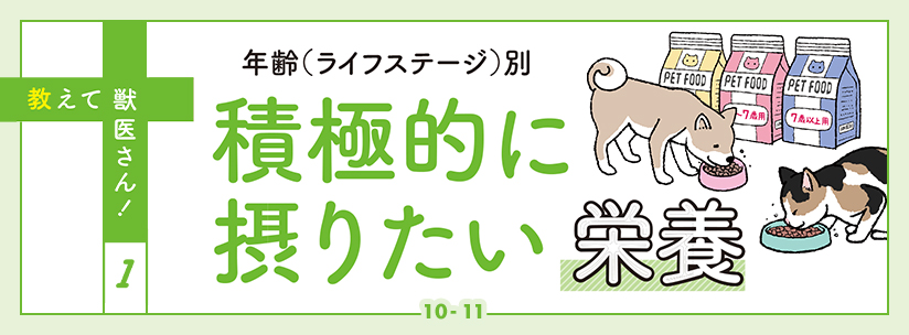 教えて獣医さん！1