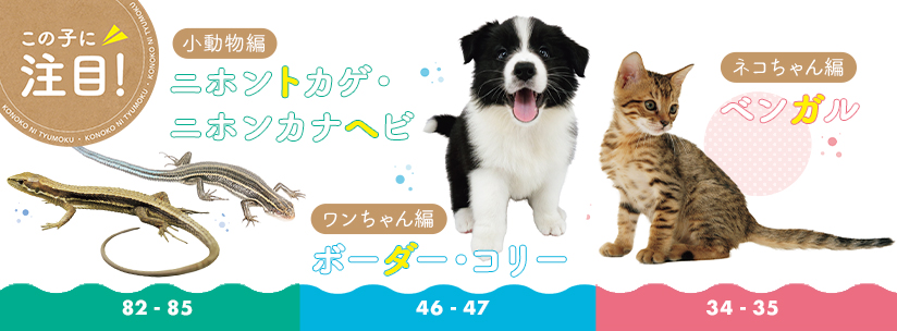 この子に注目！