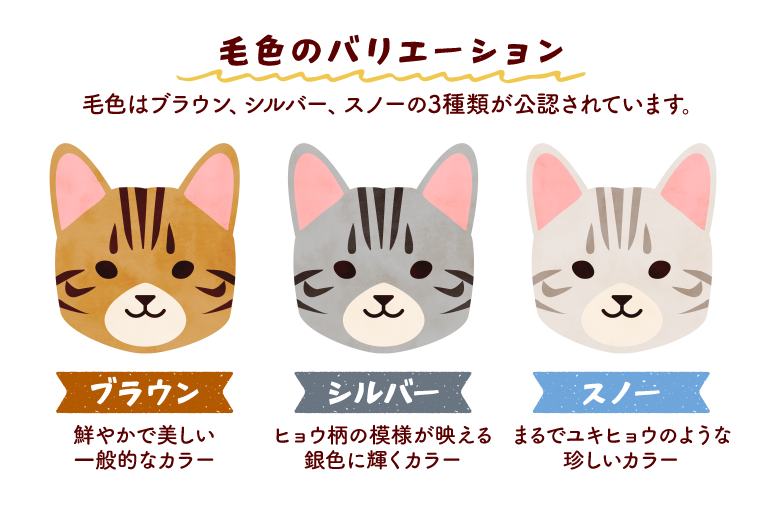 毛色のバリエーション