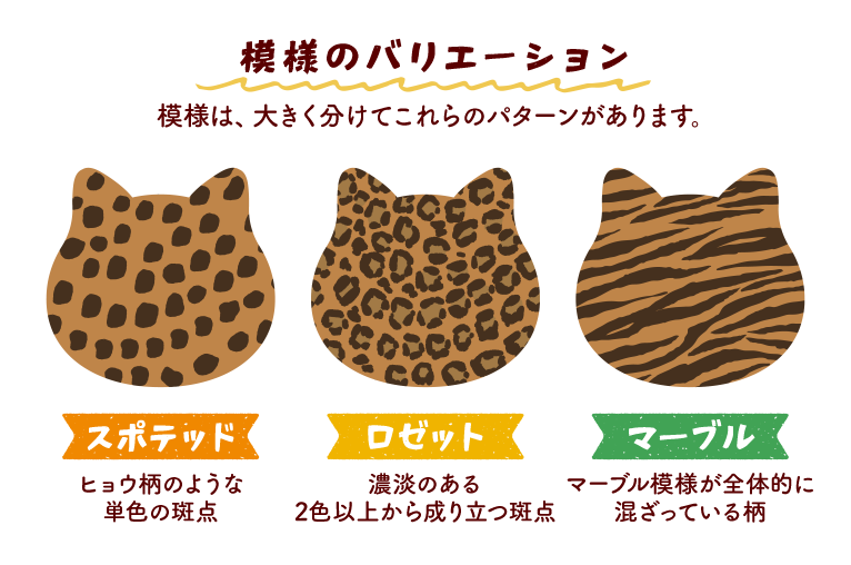 模様のバリエーション