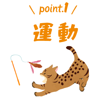 point.1 運動