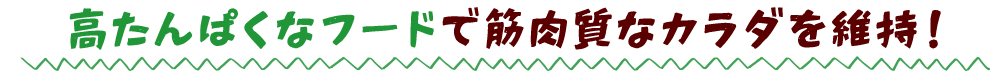 高たんぱくなフードで筋肉質なカラダを維持！