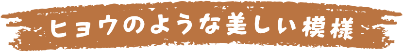 ヒョウのような美しい模様