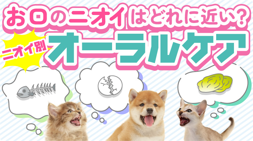 お口のニオイはどれに近い？ニオイ別オーラルケア