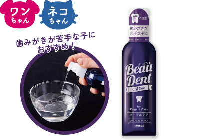 ボーダン